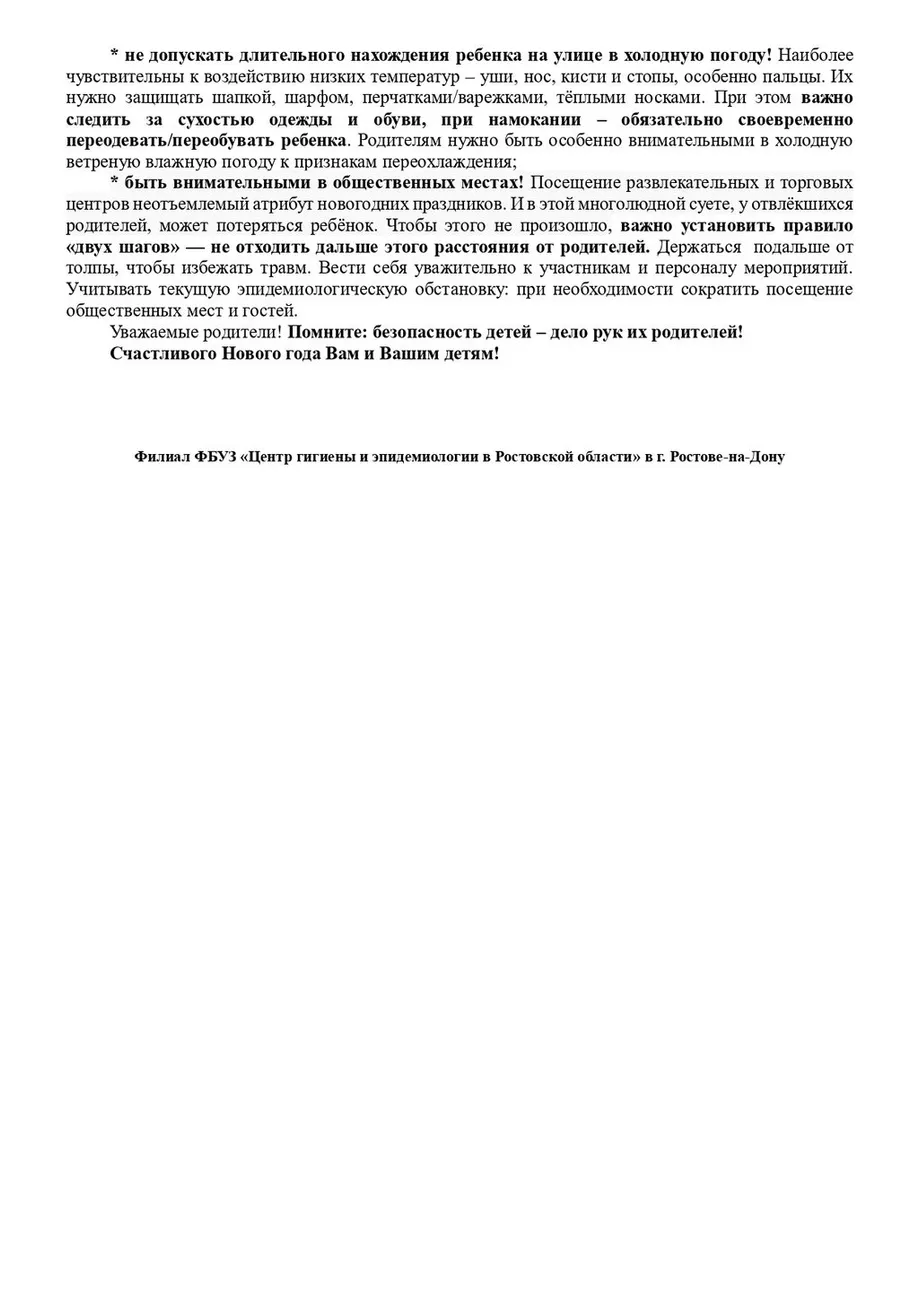 Безопасный_Новый_год_page-0002